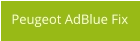 Peugeot AdBlue Fix