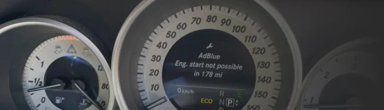 ADBLUE DELETE NOX DELETE SCR DELETE ADBLUE REMOVAL